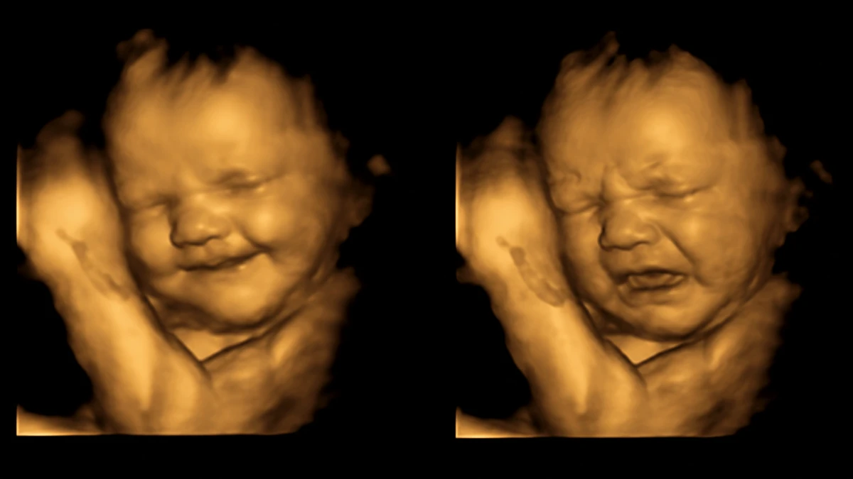 baby emotie in baarmoeder